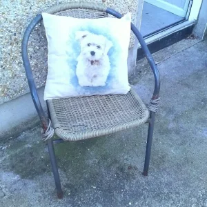 Two cushions - Image 2