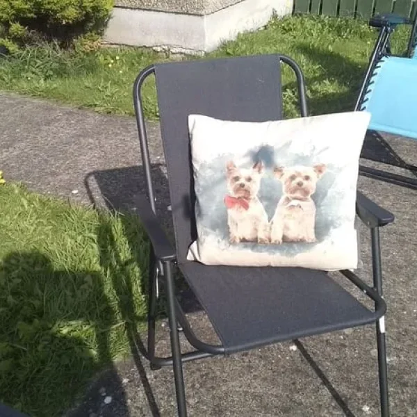 Two cushions