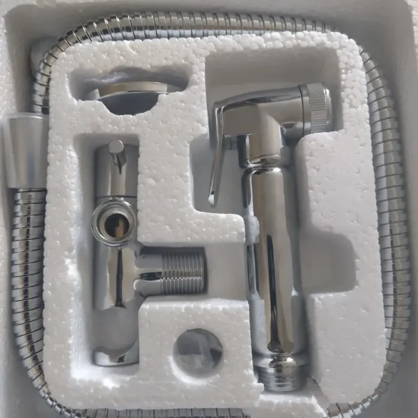 Bidet toilet shower