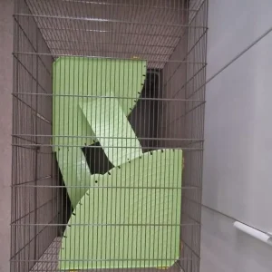 Rat Cage Savic Freedie 2 - Image 4