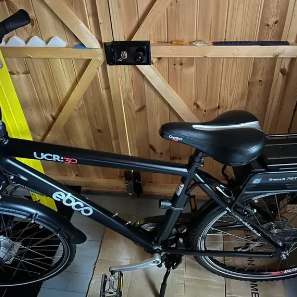 Electric bike