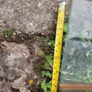 Bath shower screen - Image 6