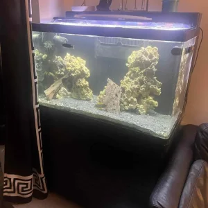 Red Sea Max 250 tank (converted to open top) - Image 2