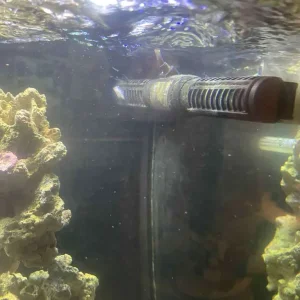 Red Sea Max 250 tank (converted to open top) - Image 4