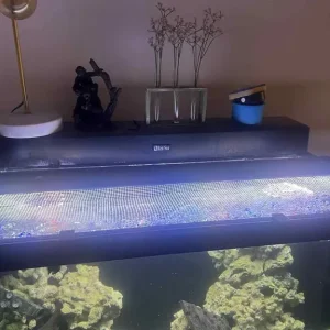 Red Sea Max 250 tank (converted to open top) - Image 7