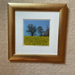 Five Pictures in Wooden Frames - Image 2