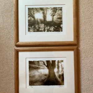 Five Pictures in Wooden Frames - Image 5