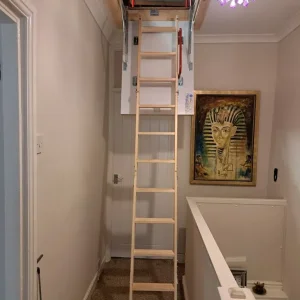 Telescopic ladder