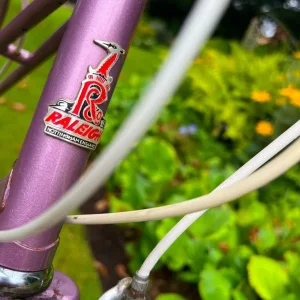 Raleigh Silhouette Ladies Classic Town Bike - Fully Serviced - Image 2