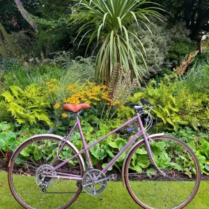 Raleigh Silhouette Ladies Classic Town Bike - Fully Serviced - Image 3