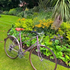 Raleigh Silhouette Ladies Classic Town Bike - Fully Serviced - Image 7