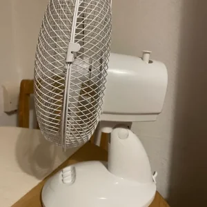 Fan - Image 2