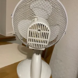 Fan - Image 3
