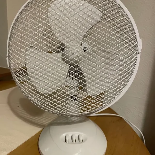 Fan