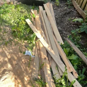 Wood off cuts - Image 2