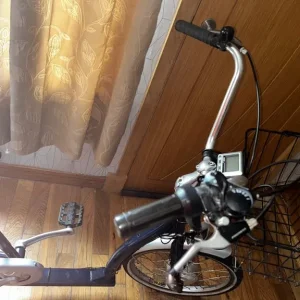 Powabyke Electric Trike - Image 2