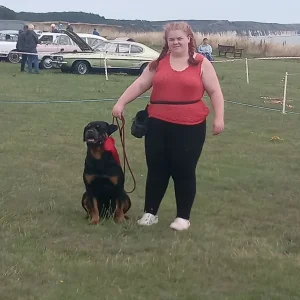 Rotweiler puppy - Image 3
