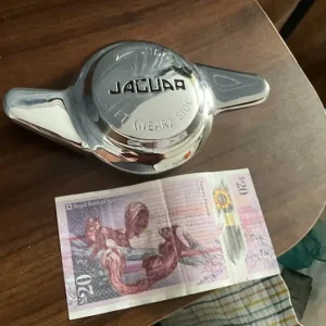 Jaguar wire wheel spinner - Image 7