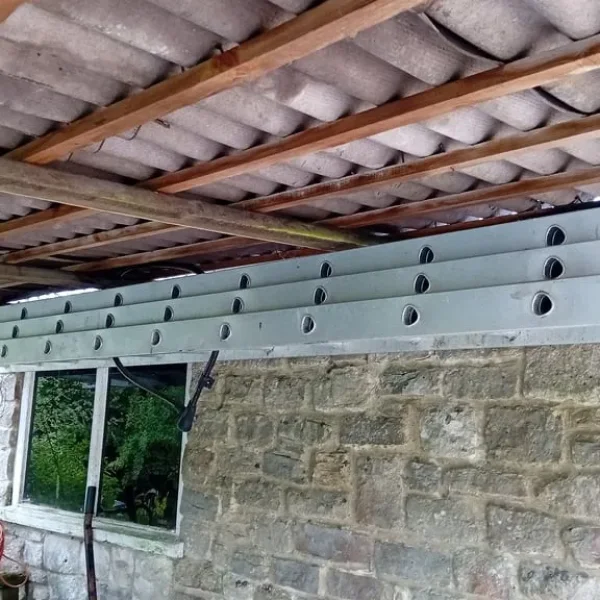 Long 3-part Alu Ladder