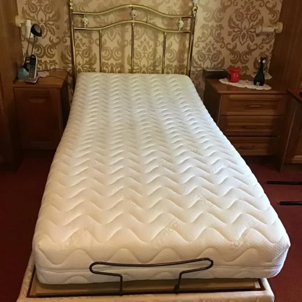 Electric adjustable bed and riser