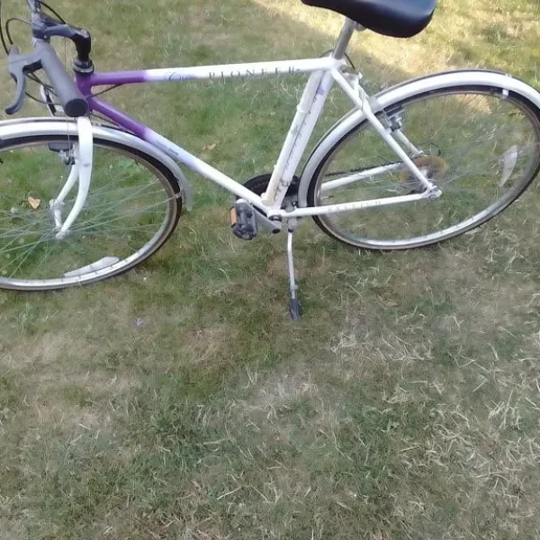 Gent Rayleigh Pioneer Bicycle