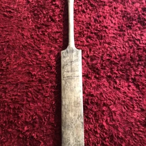 Lilly white cricket bat - Image 2