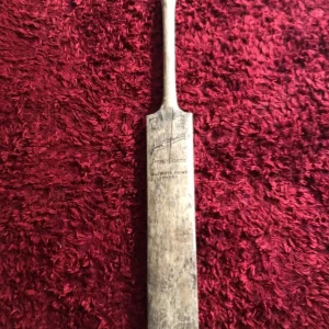 Lilly white cricket bat - Image 3