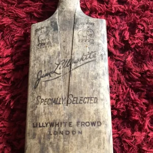 Lilly white cricket bat