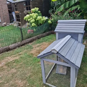 Chicken Coop - Image 3