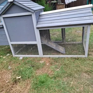 Chicken Coop - Image 4
