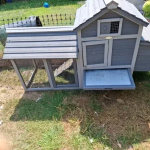 Chicken Coop - Image 6