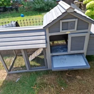 Chicken Coop - Image 7