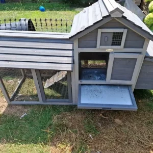 Chicken Coop - Image 8