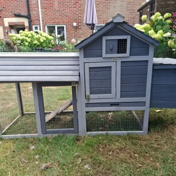 Chicken Coop