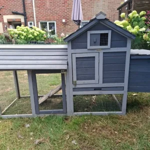 Chicken Coop