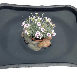 Plastic Garden Pond