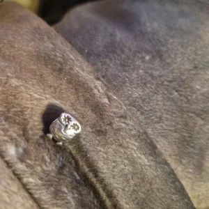 Pandora charms collection