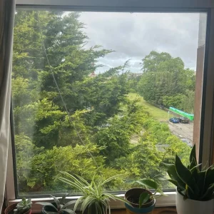 Double room in Leith Walk area - Image 2