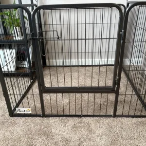 Puppy accessories - Image 2