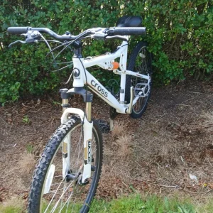 Cross duke mointon bike - Image 4