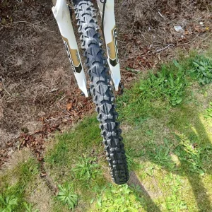 Cross duke mointon bike - Image 6