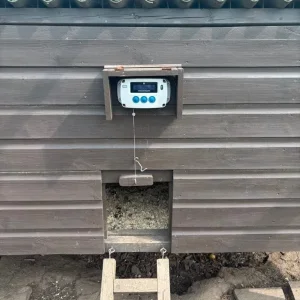 Chicken coop & 7 chickens - SSTC - Image 2