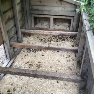 Chicken coop & 7 chickens - SSTC - Image 7