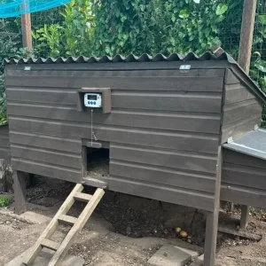 Chicken coop & 7 chickens - SSTC