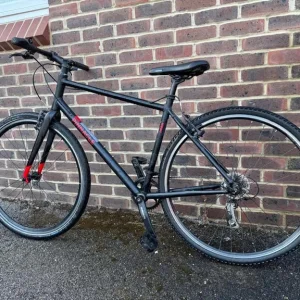 Pinnacle neon bike