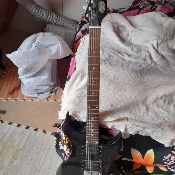 Guitar Stag. Great first-time guitar