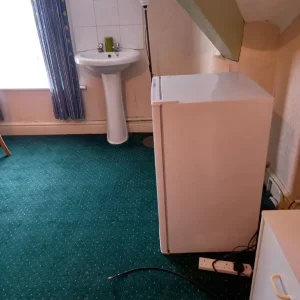 Large double room with shared bathroom, no bills, no deposit - Image 3