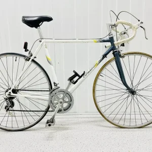 Xm Fully Serviced RALEIGH Road Bike 10 Speed 700c Wheels Excellent Condition