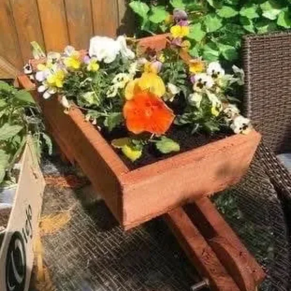 🌷Garden wheelbarrow planter🌹