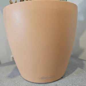 Lechuza (self watering) plant pot - Image 2